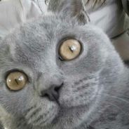 啦啦啦
