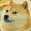 DoGe Liza