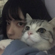 啊哈