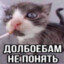 Кorty