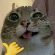 MOMPLEASER avatar