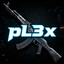 pL3X