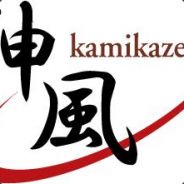 Kamikaze © - steam id 76561197971048515