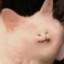 Hugi