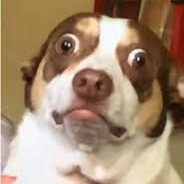 𝗠𝗲𝗻𝗻𝗮