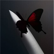 Moi c'est le bb guadada