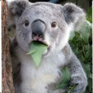 跳刀躲梅肯，塔下意识粉