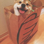 小臻臻臻臻臻丶