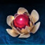 lotus orb