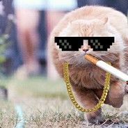 爱吃月亮的大肥猫