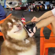 我就笑笑不说话