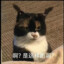 九平方