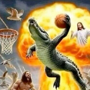 Aligator