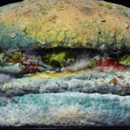 MoldyMcdouble