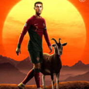 slobodanpetkovic2010