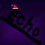 Echo