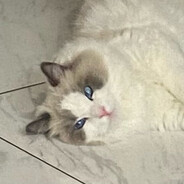 asdf