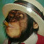 dave