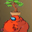 MrBonsai