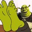 Shreks Lil Pigs