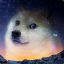 Space Doge