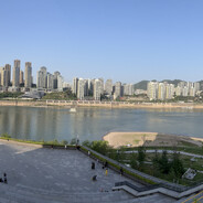 沙特骗子曼奇尼