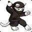 Ninja Cat