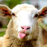 нурай гарик