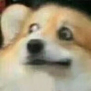 抱歉，人是打不过苟的