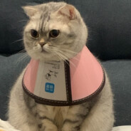 私咪玛赛糯糯酱