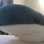 TheIkeaShark