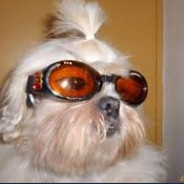 Yha-kun - steam id 76561198285449686