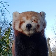 Redpandzia1539