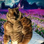 Bengalski Tygrys