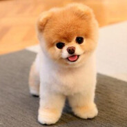 Mike
