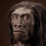 Homo Erectus