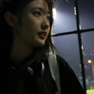 菠萝吹雪暴打梨花诗