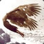 Icarus