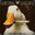 Ducklord