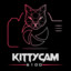 KittyCam6100