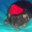rich rodent