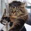 Trejmau Cat