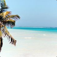 Hmm un dinausore roti hahahah - steam id 76561197960432616