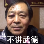 浑元形意太极拳马保国