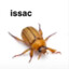 issac