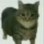 mao