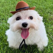 ★ † C3NT1N3L4 † ★