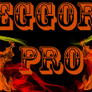 ℰℊℴℛ_℘ℜᴑ-EGGOR_pro