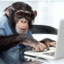 Monkey Gaming