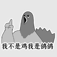 我不是鸡我是鸽鸽